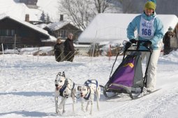 Lenk 2012 SM